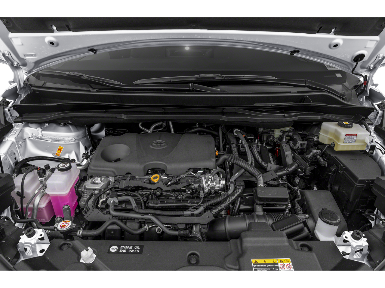 2025 Toyota Sienna LE 8-Passenger