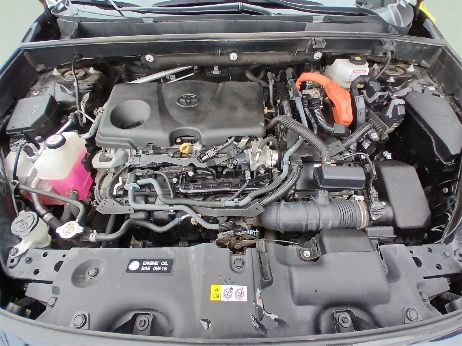 2024 Toyota RAV4 Hybrid Woodland Edition