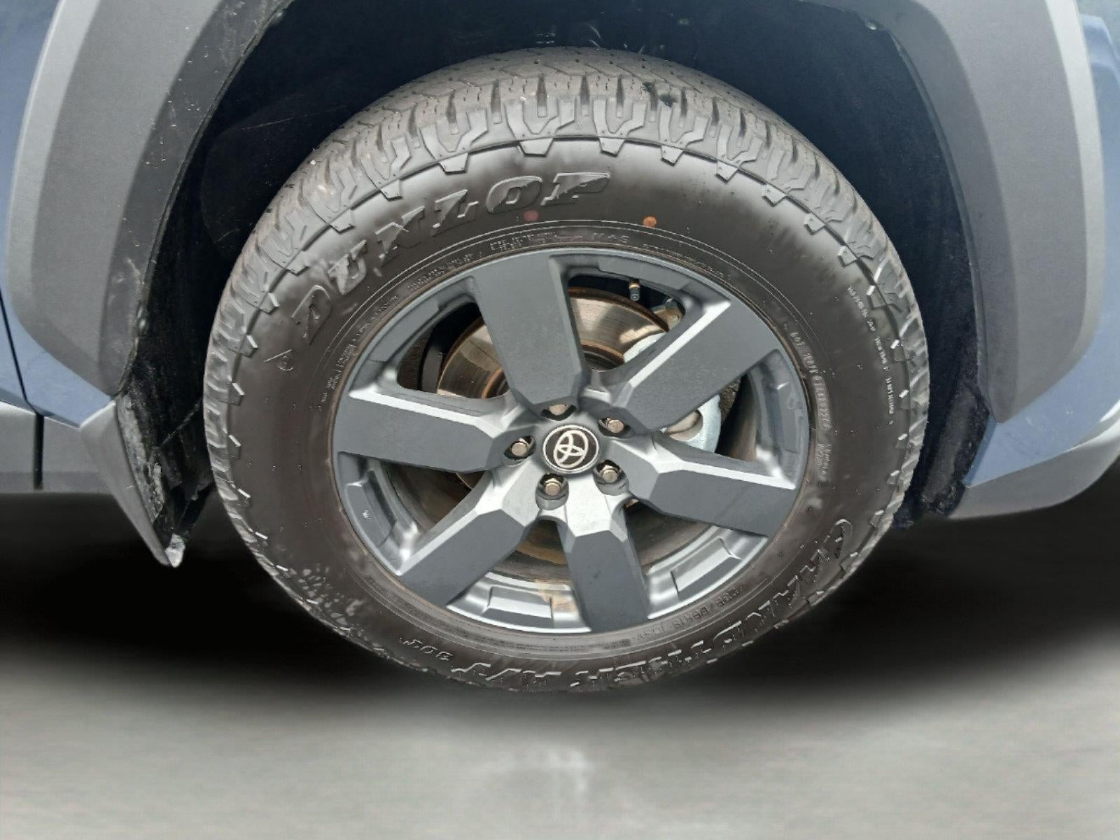 2026 Toyota RAV4 Woodland