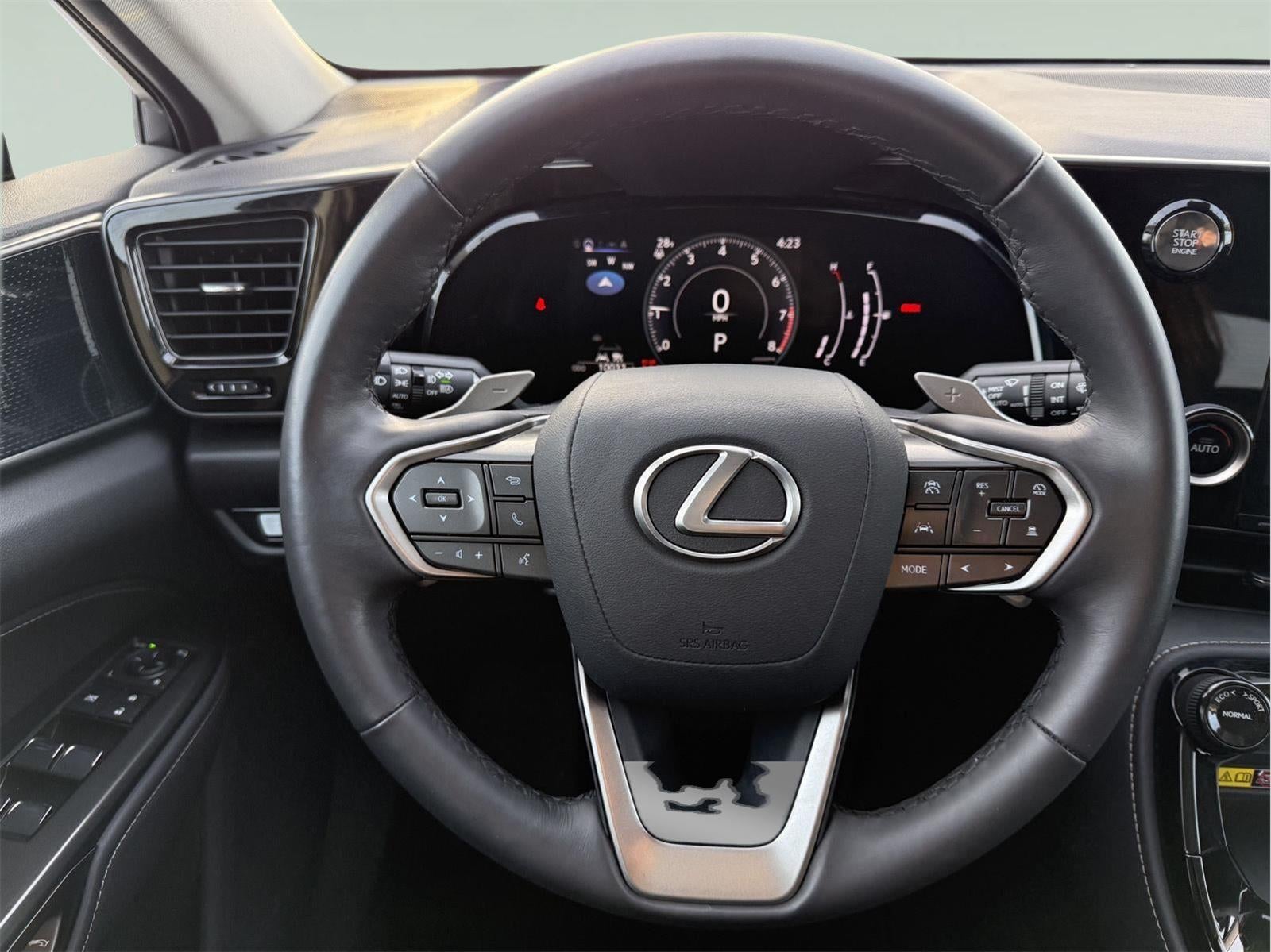 2025 Lexus NX 250