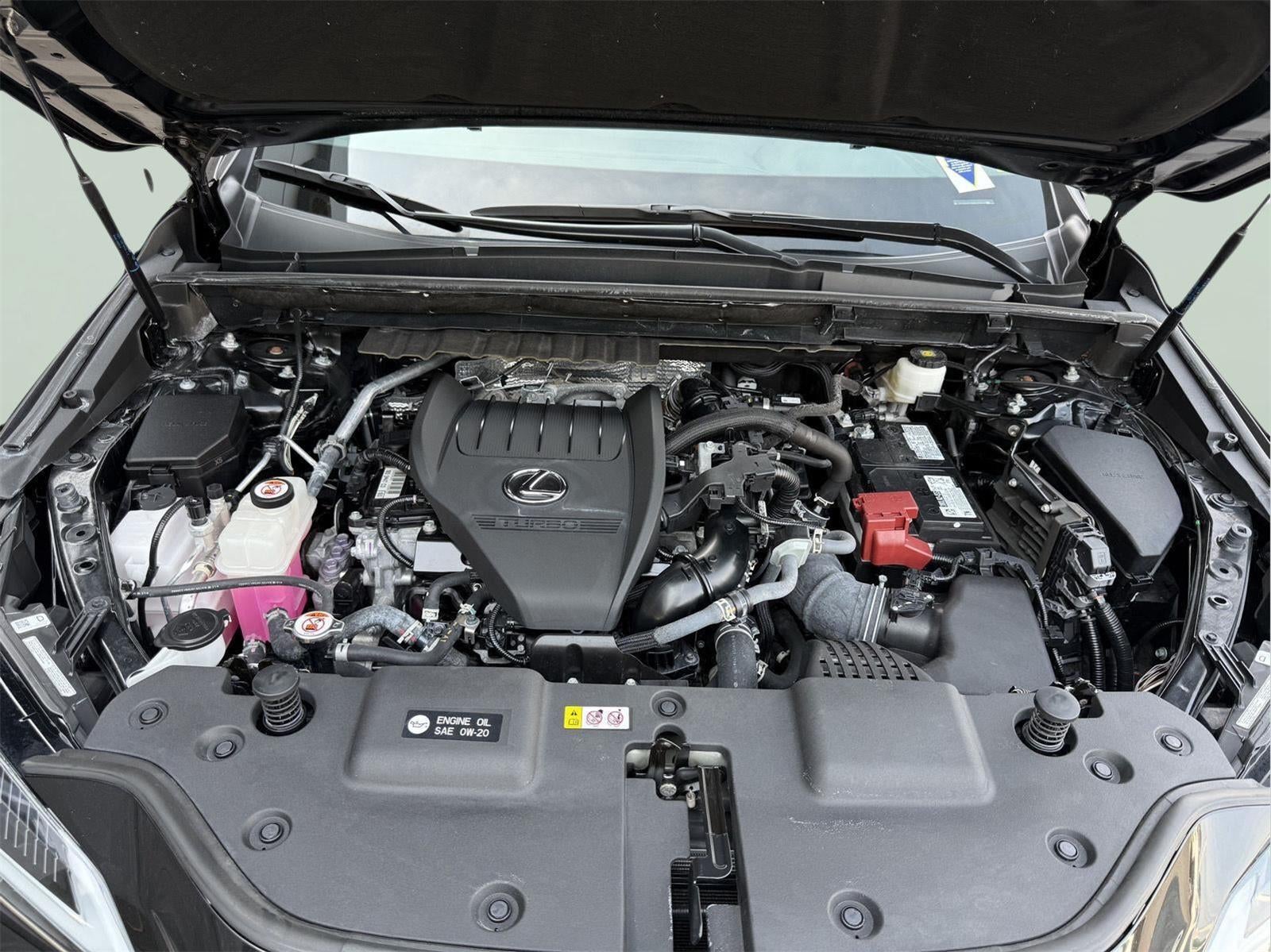 2024 Lexus NX 350 Premium