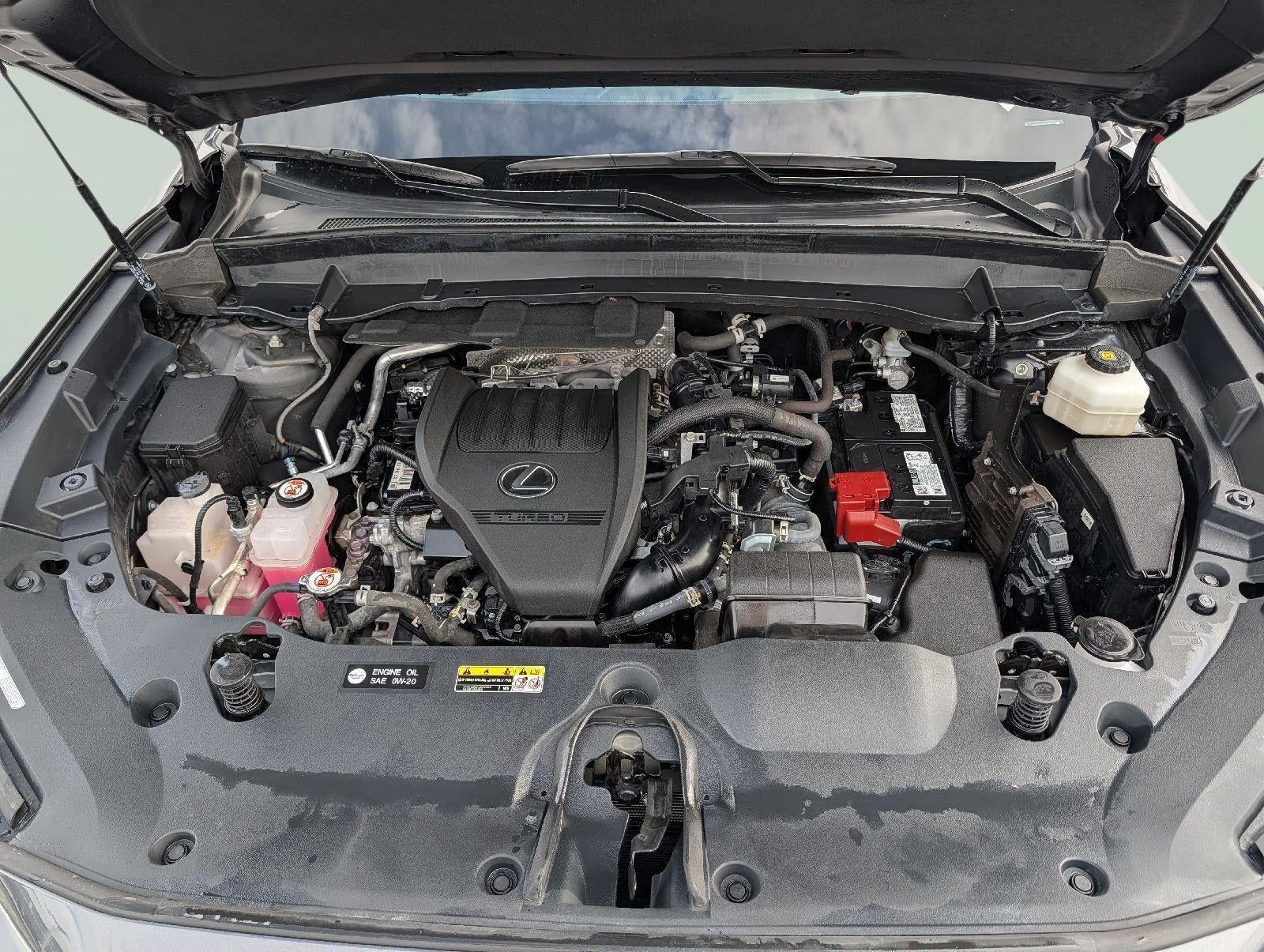 2024 Lexus TX 350 SUBN