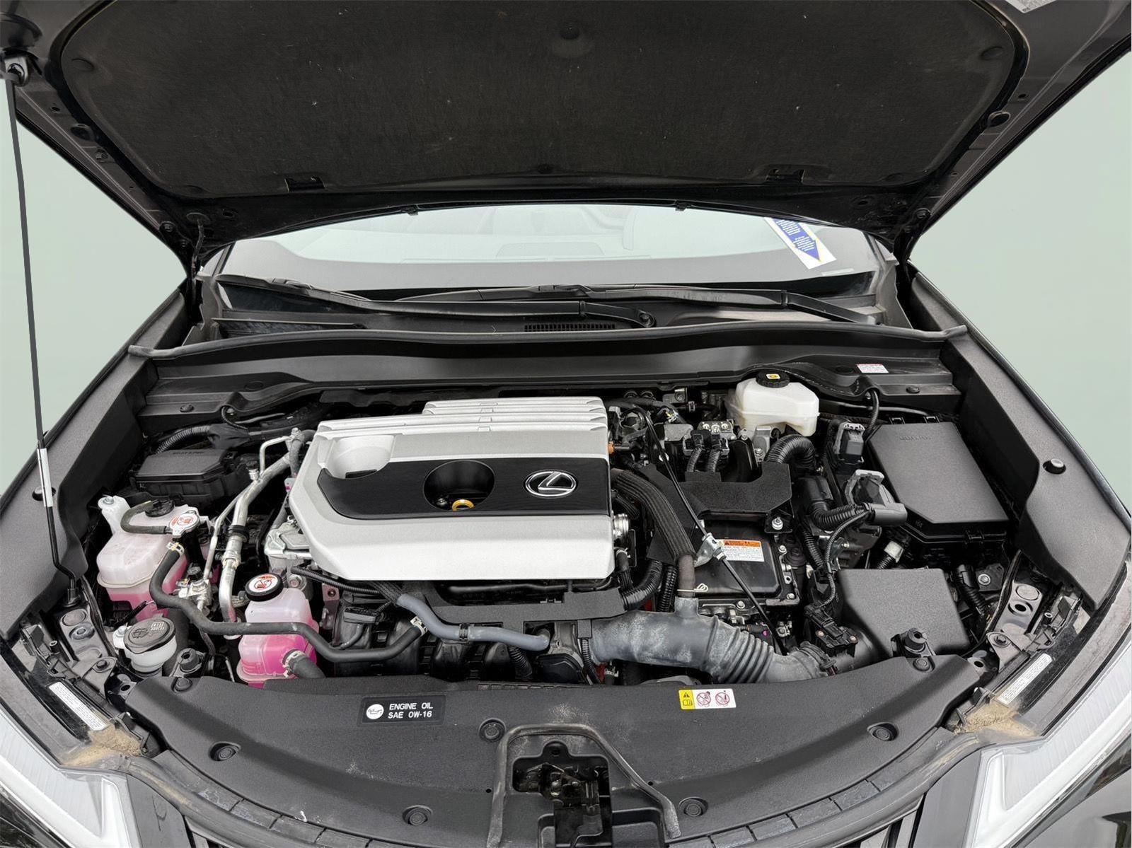 2023 Lexus UX AWD
