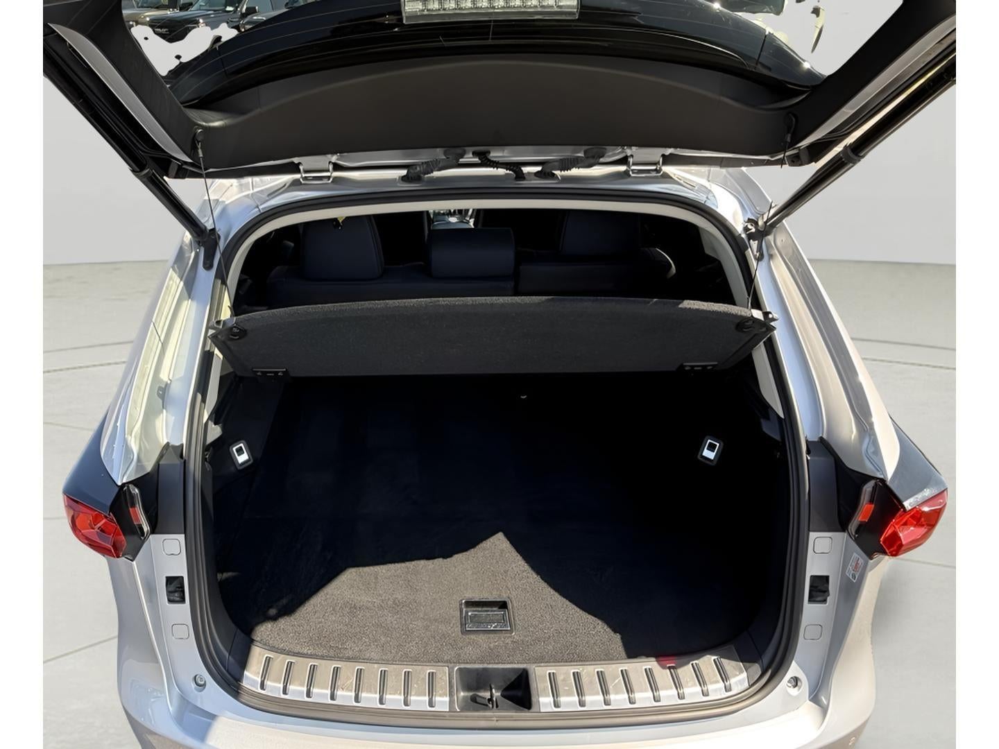 2019 Lexus NX 300 NX 300