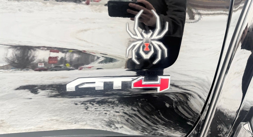 2024 GMC Sierra 1500 AT4 BLACK WIDOW SPECIAL EDITION! $31,000 Package!