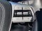 2024 Kia Telluride SX-Prestige X-Pro